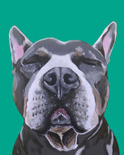 Load image into Gallery viewer, Phineas the Pitbull