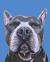 Load image into Gallery viewer, Phineas the Pitbull