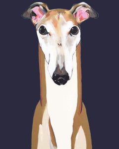 Ron the Greyhound