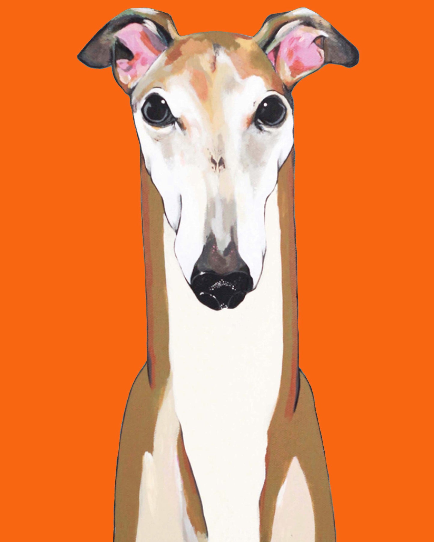 Ron the Greyhound