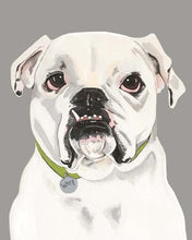 Load image into Gallery viewer, Tofu the English Bulldog