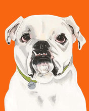 Load image into Gallery viewer, Tofu the English Bulldog