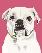 Load image into Gallery viewer, Tofu the English Bulldog