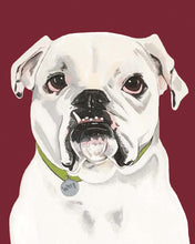 Load image into Gallery viewer, Tofu the English Bulldog