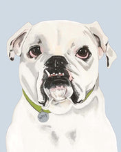 Load image into Gallery viewer, Tofu the English Bulldog