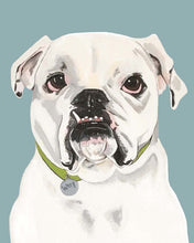 Load image into Gallery viewer, Tofu the English Bulldog
