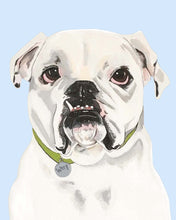 Load image into Gallery viewer, Tofu the English Bulldog