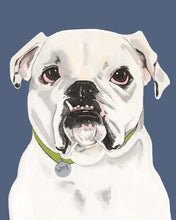 Load image into Gallery viewer, Tofu the English Bulldog