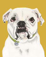 Load image into Gallery viewer, Tofu the English Bulldog