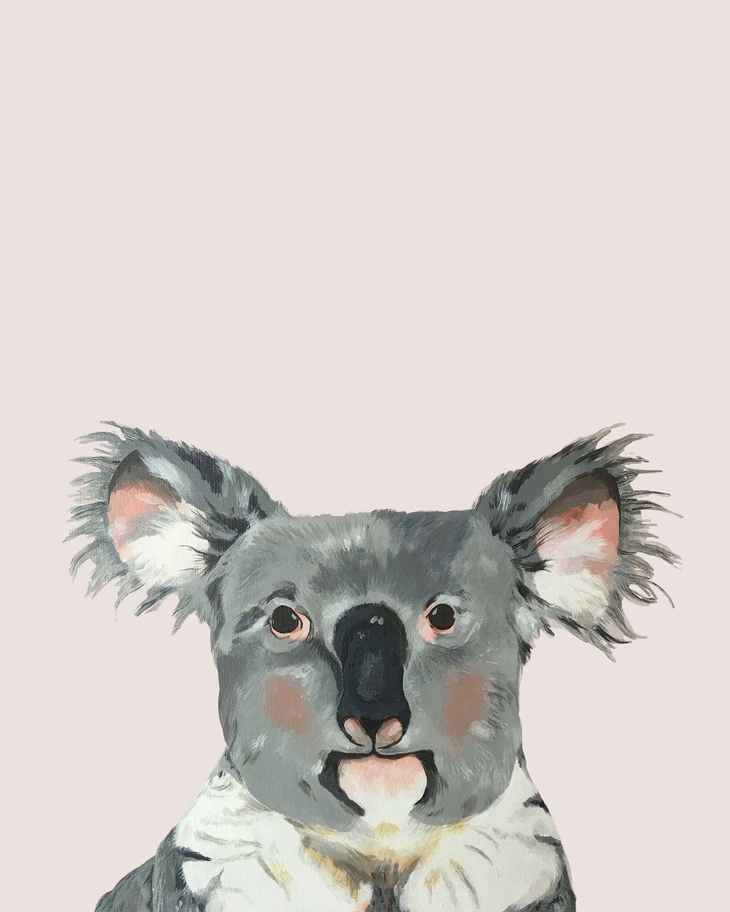 Quinn the Koala