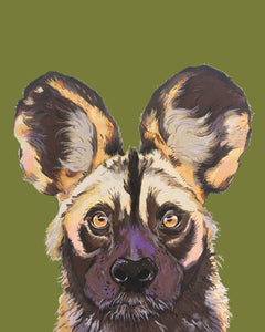 Willis the Wild Dog