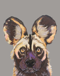 Willis the Wild Dog