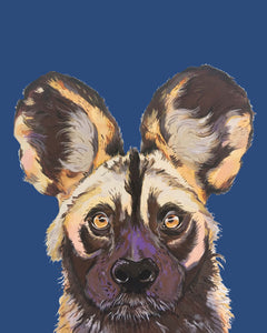 Willis the Wild Dog
