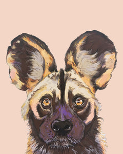 Willis the Wild Dog