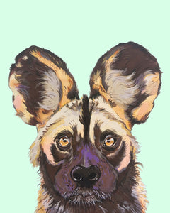 Willis the Wild Dog