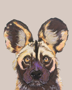 Willis the Wild Dog