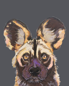 Willis the Wild Dog