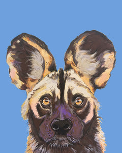 Willis the Wild Dog