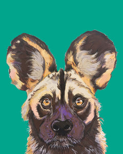 Willis the Wild Dog