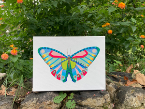 Butterfly 3.