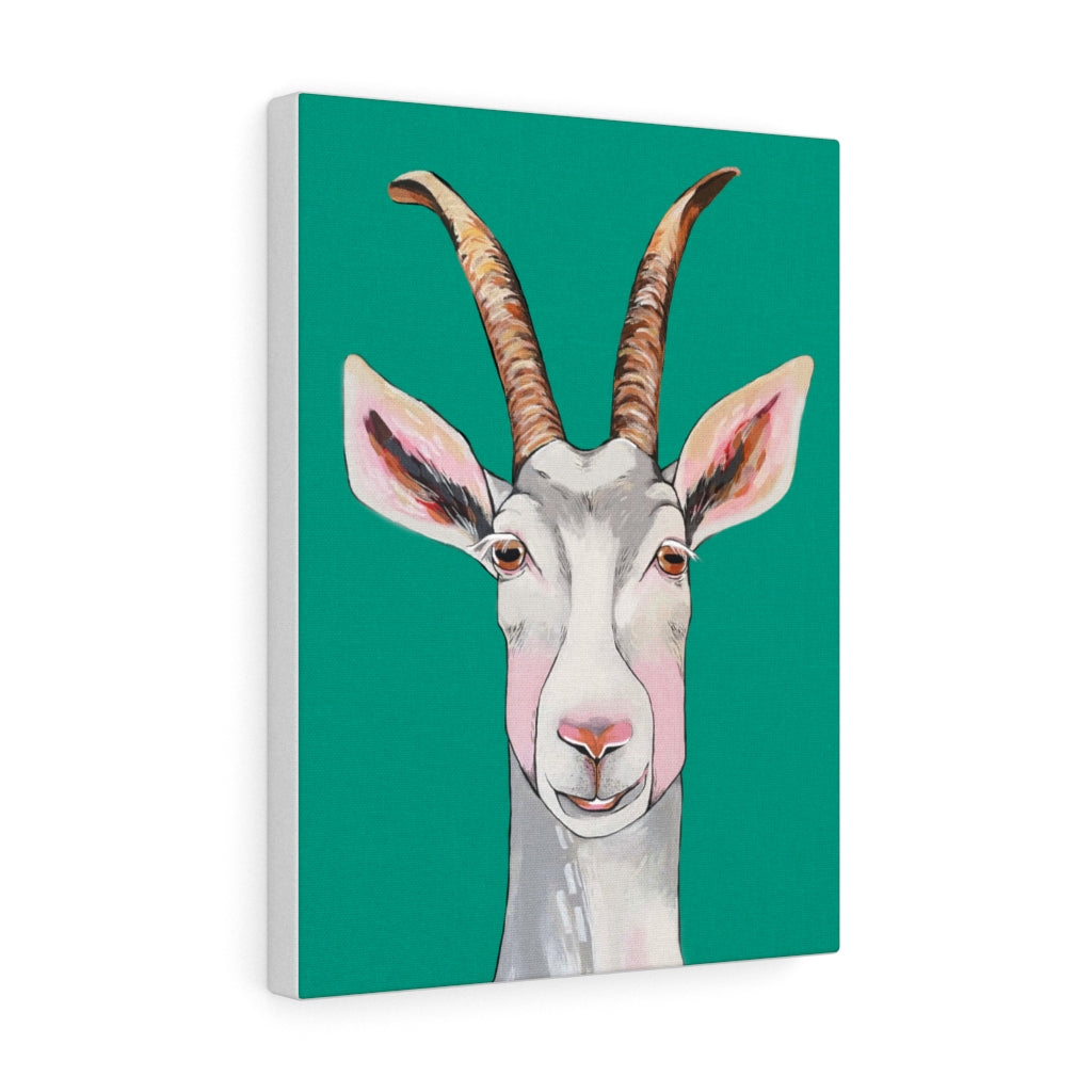 Billy the Goat Canvas Gallery Wrap