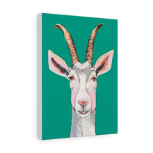 Load image into Gallery viewer, Billy the Goat Canvas Gallery Wrap