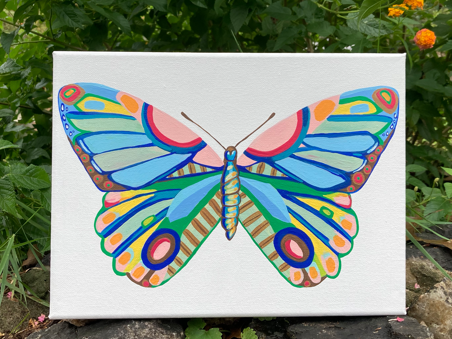 Butterfly 6.