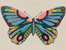 Load image into Gallery viewer, Butterfly 6.