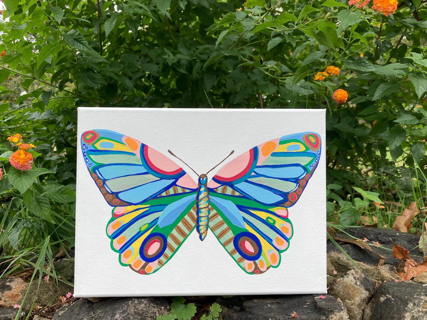 Butterfly 6.