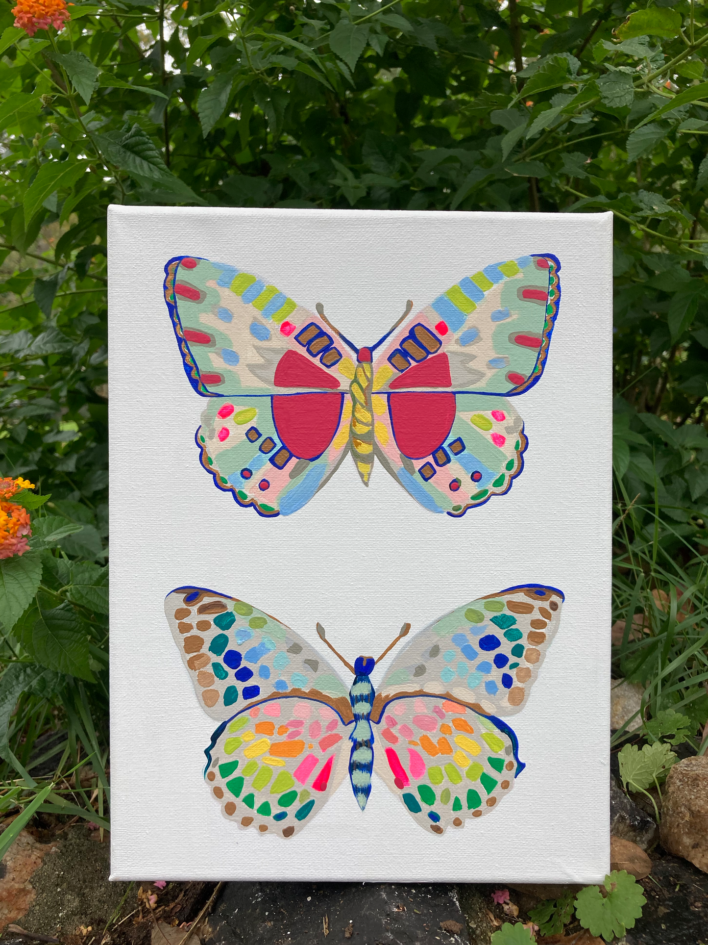 Butterfly 7 and 8.