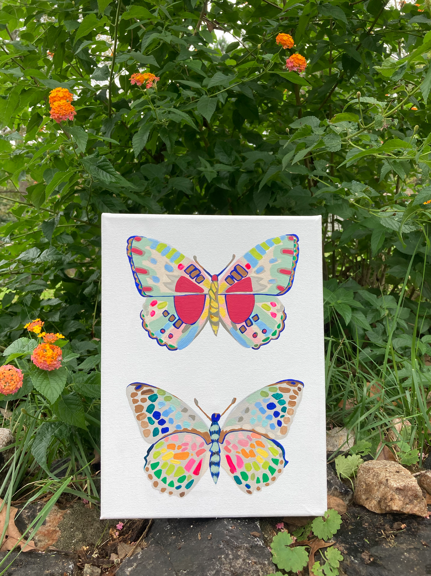 Butterfly 7 and 8.