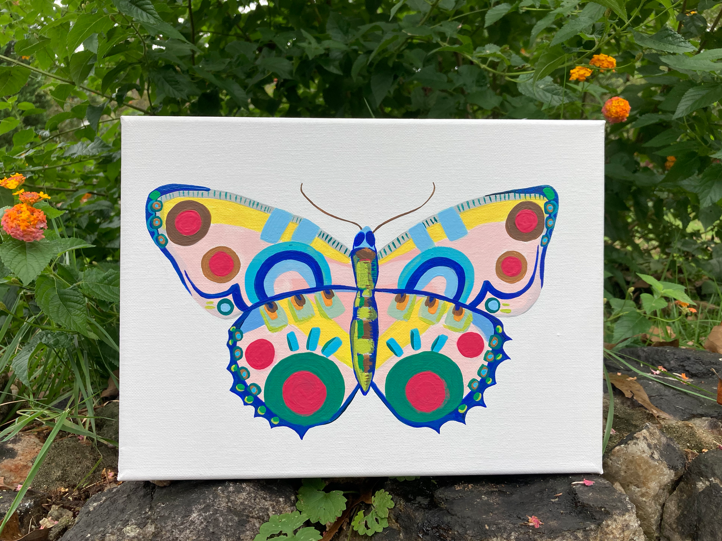 Butterfly 9.