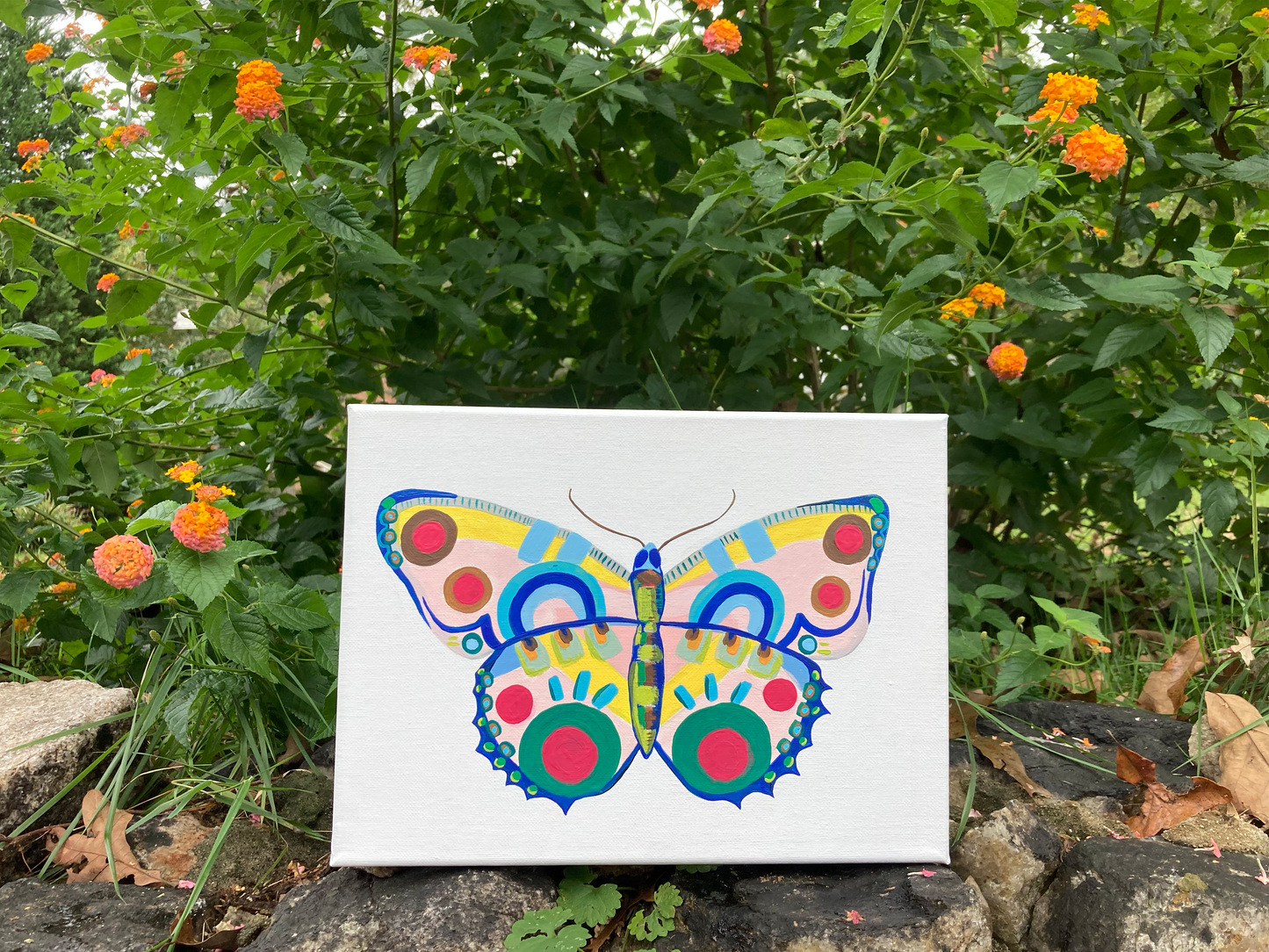 Butterfly 9.