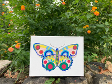 Load image into Gallery viewer, Butterfly 9.