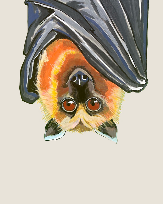 Barnabee the Bat