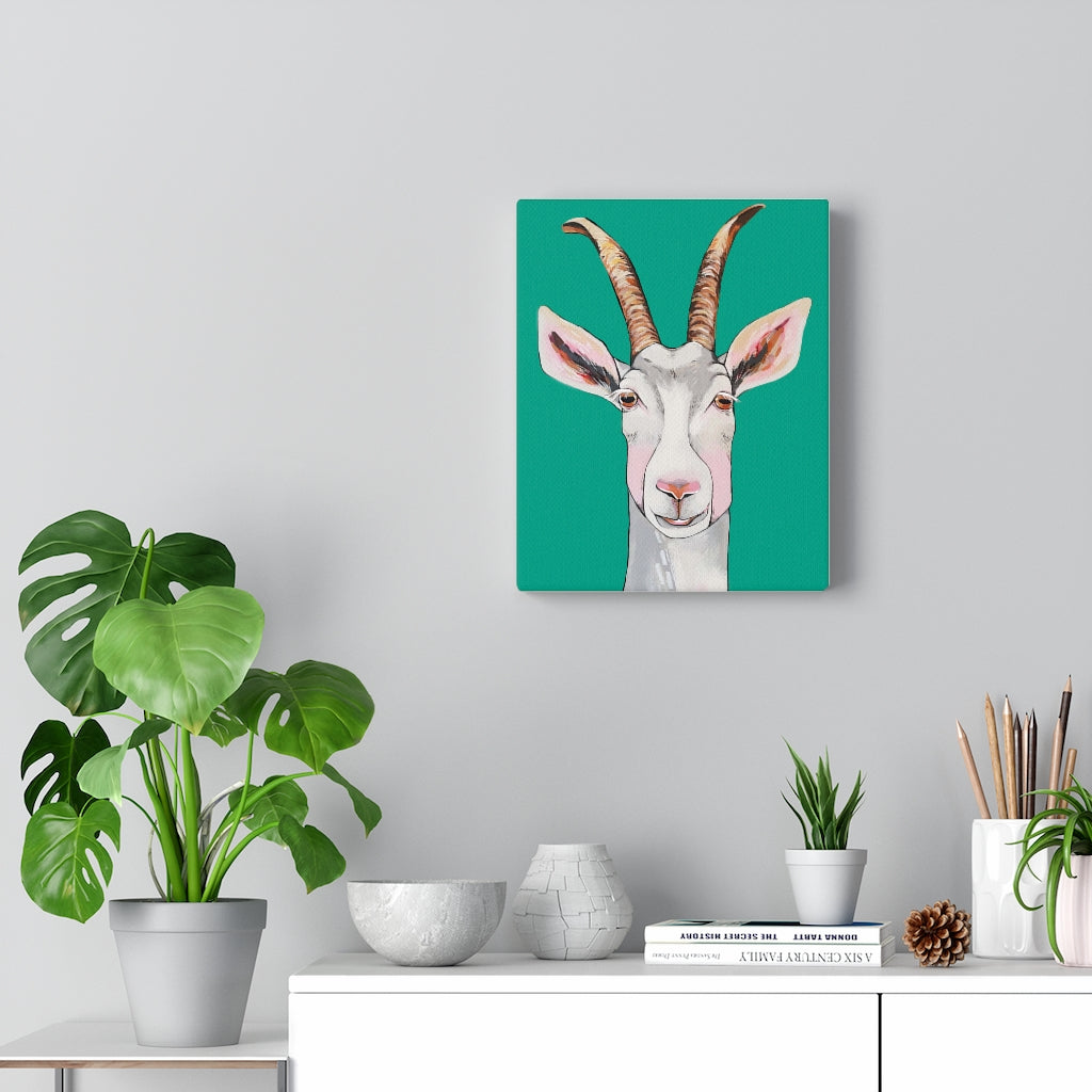 Billy the Goat Canvas Gallery Wrap