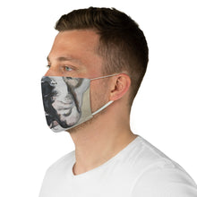 Load image into Gallery viewer, Timmy Fabric Face Mask
