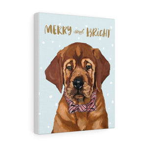 Holiday Pups - Auggie on Canvas Gallery Wrap
