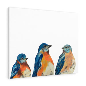 Three Bluebirds on Canvas Gallery Wrap