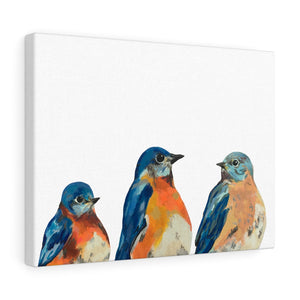 Three Bluebirds on Canvas Gallery Wrap