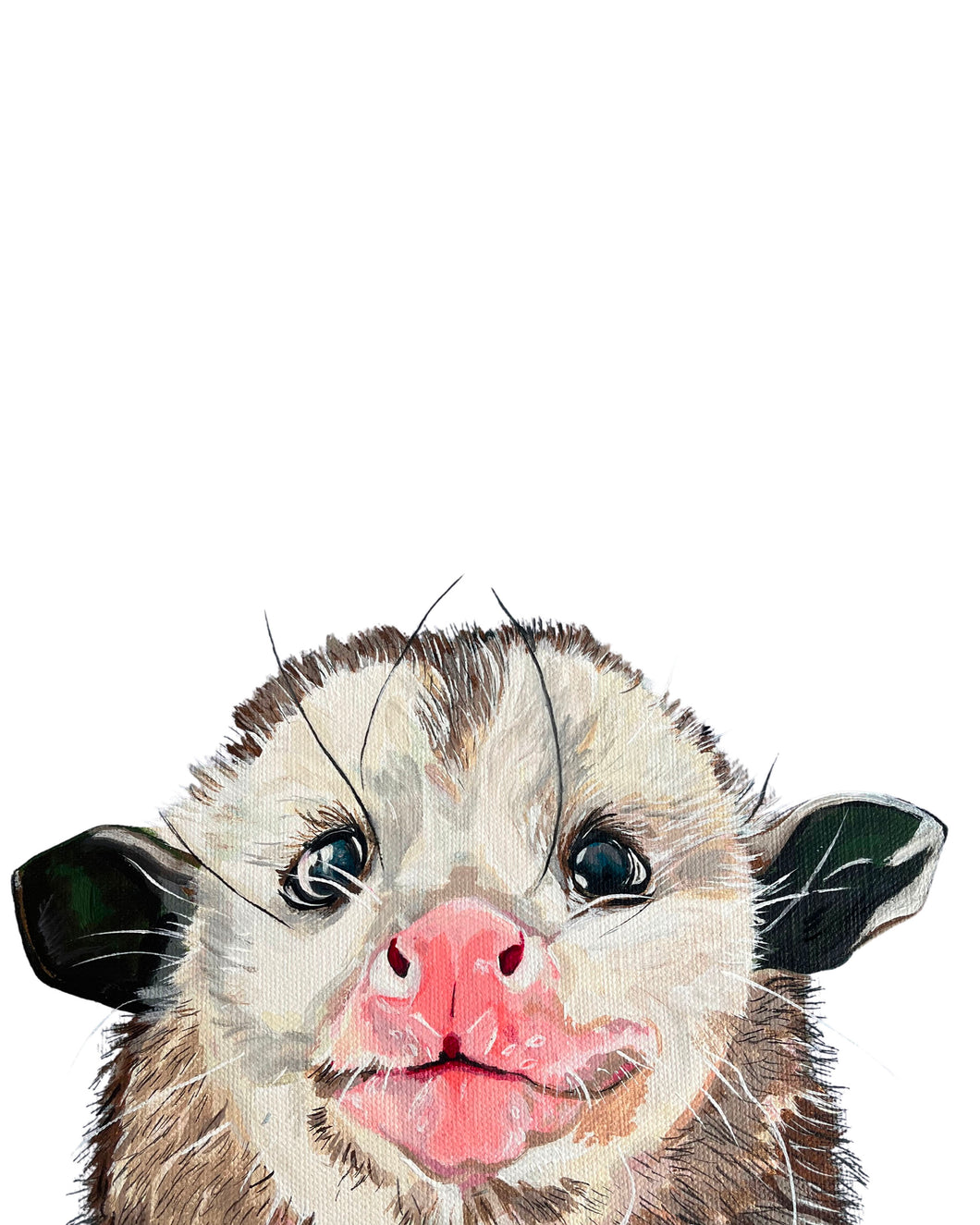 Piper the Opossum