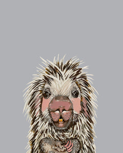 Parker the Porcupine