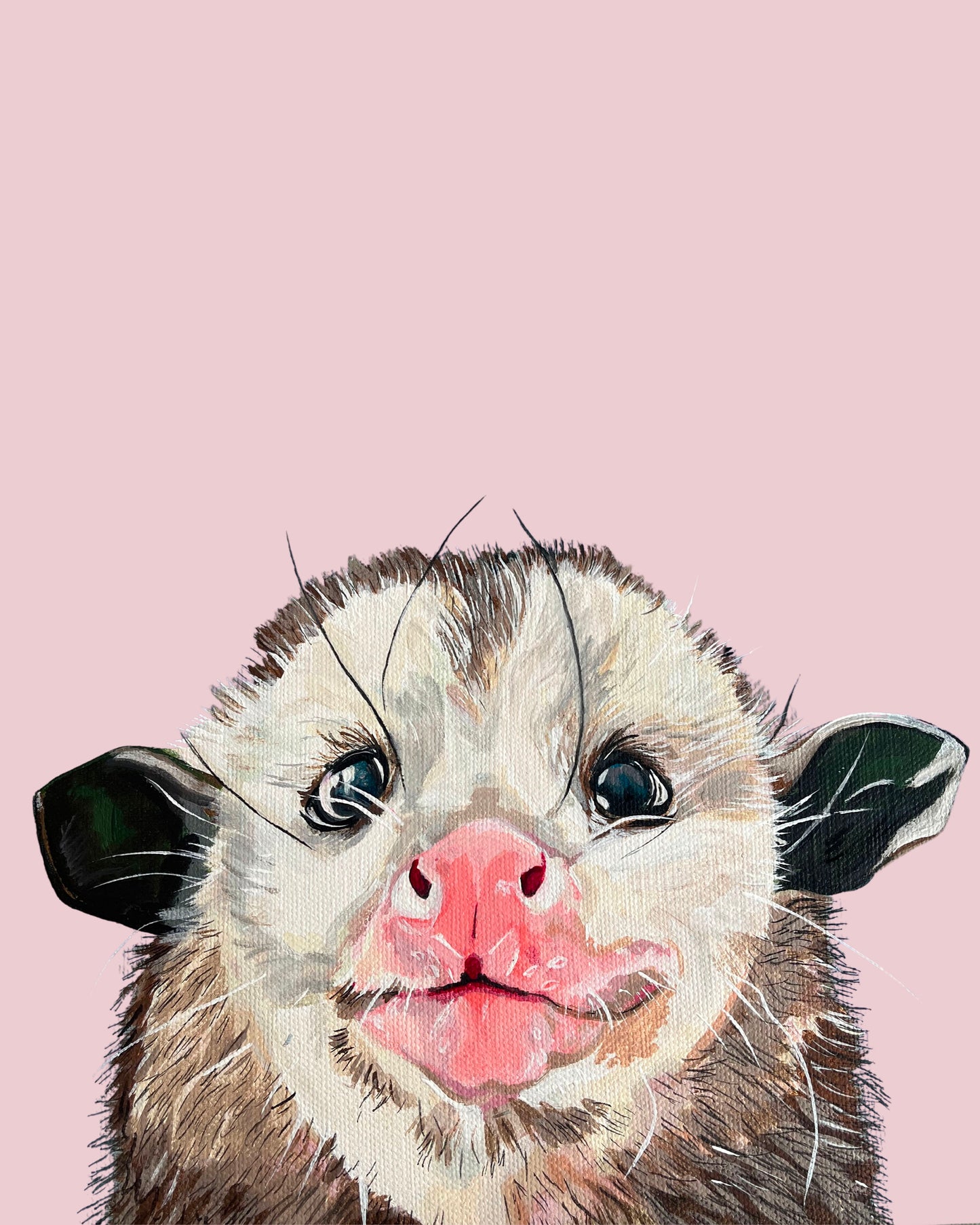 Piper the Opossum