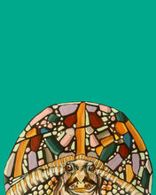 Load image into Gallery viewer, Burt the Turt