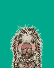 Load image into Gallery viewer, Parker the Porcupine
