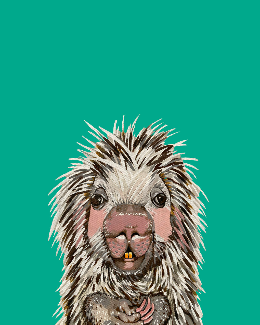 Parker the Porcupine