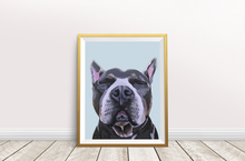 Load image into Gallery viewer, Phineas the Pitbull