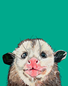 Piper the Opossum