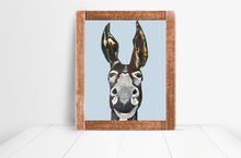 Load image into Gallery viewer, Don Key
