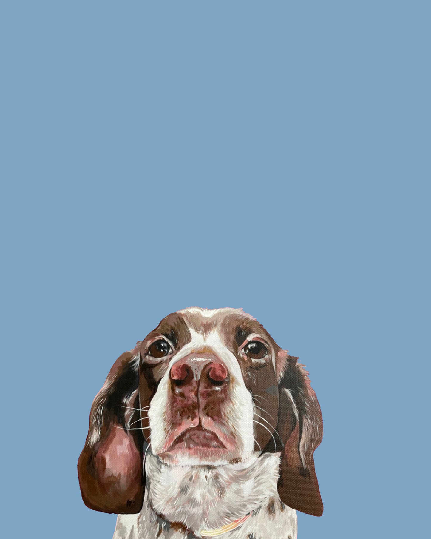 Dog Portrait - THE MODERN